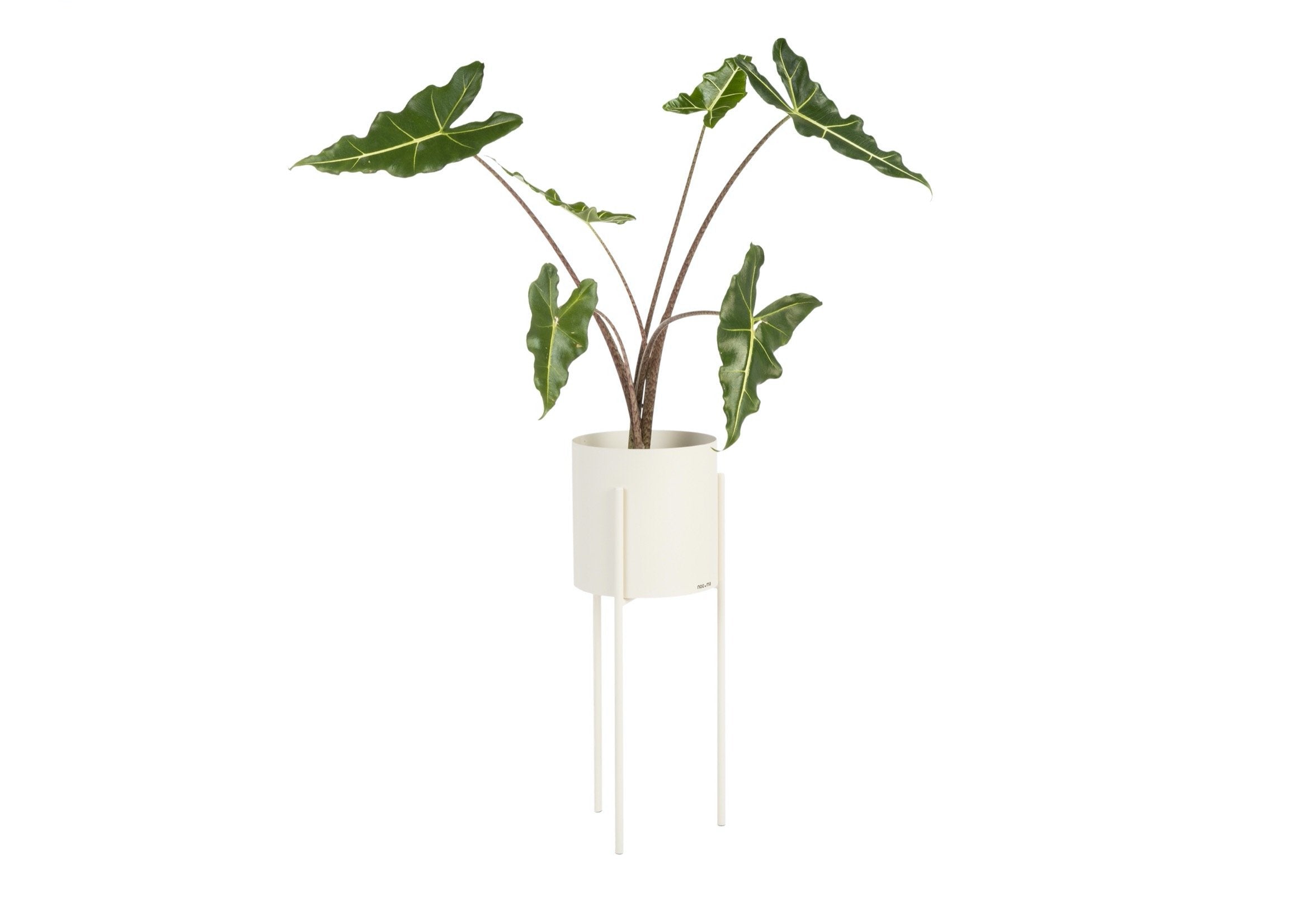 Maki Plant Pot - tall