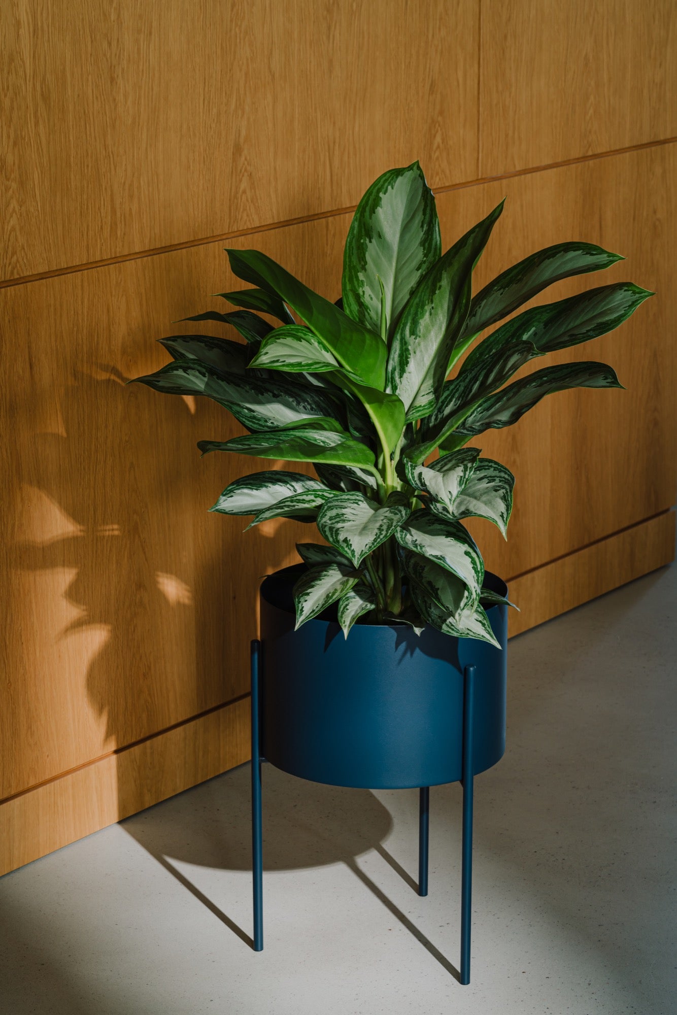 Maki Plant Pot - wide