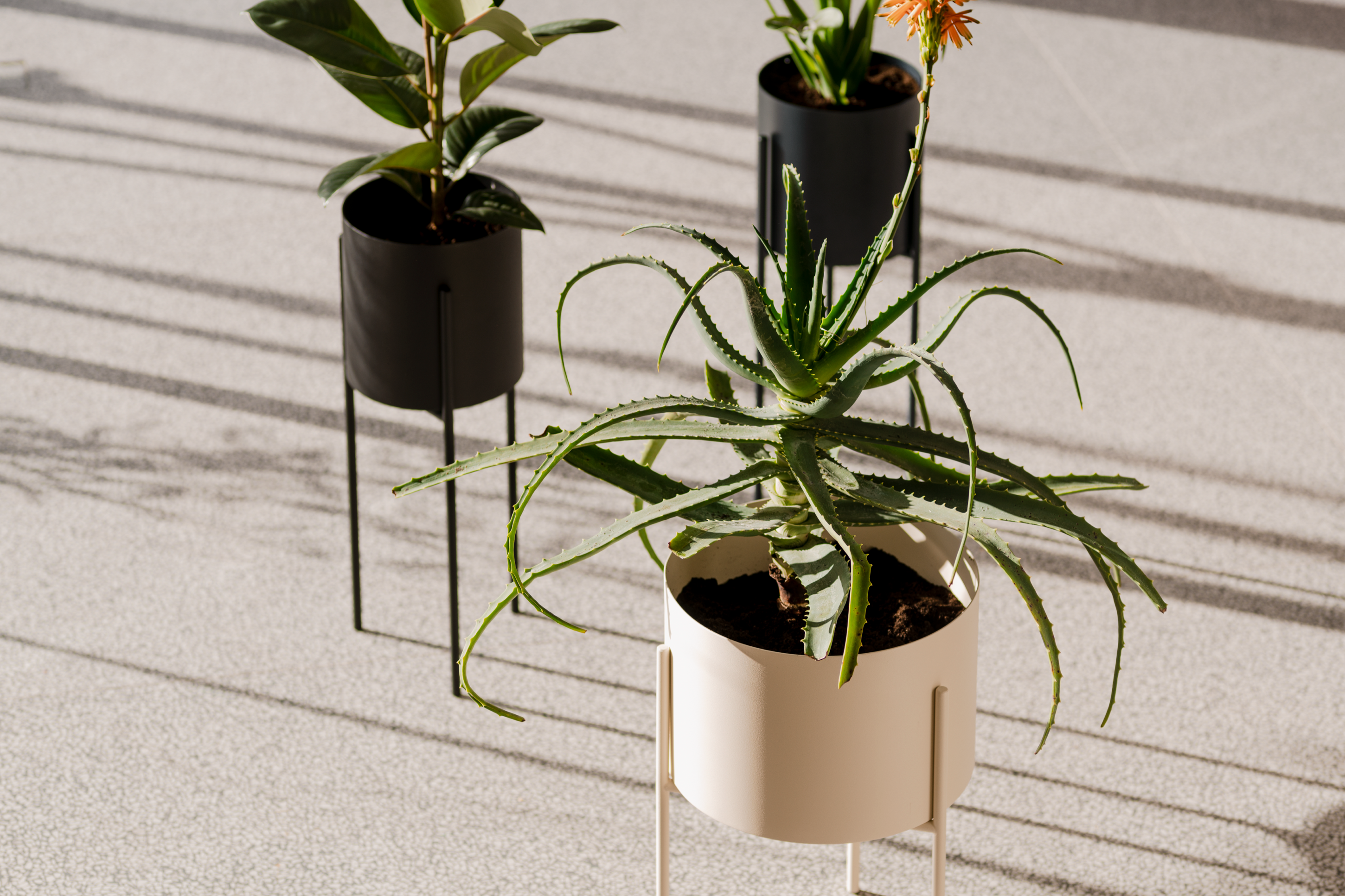 Maki Plant Pot - tall