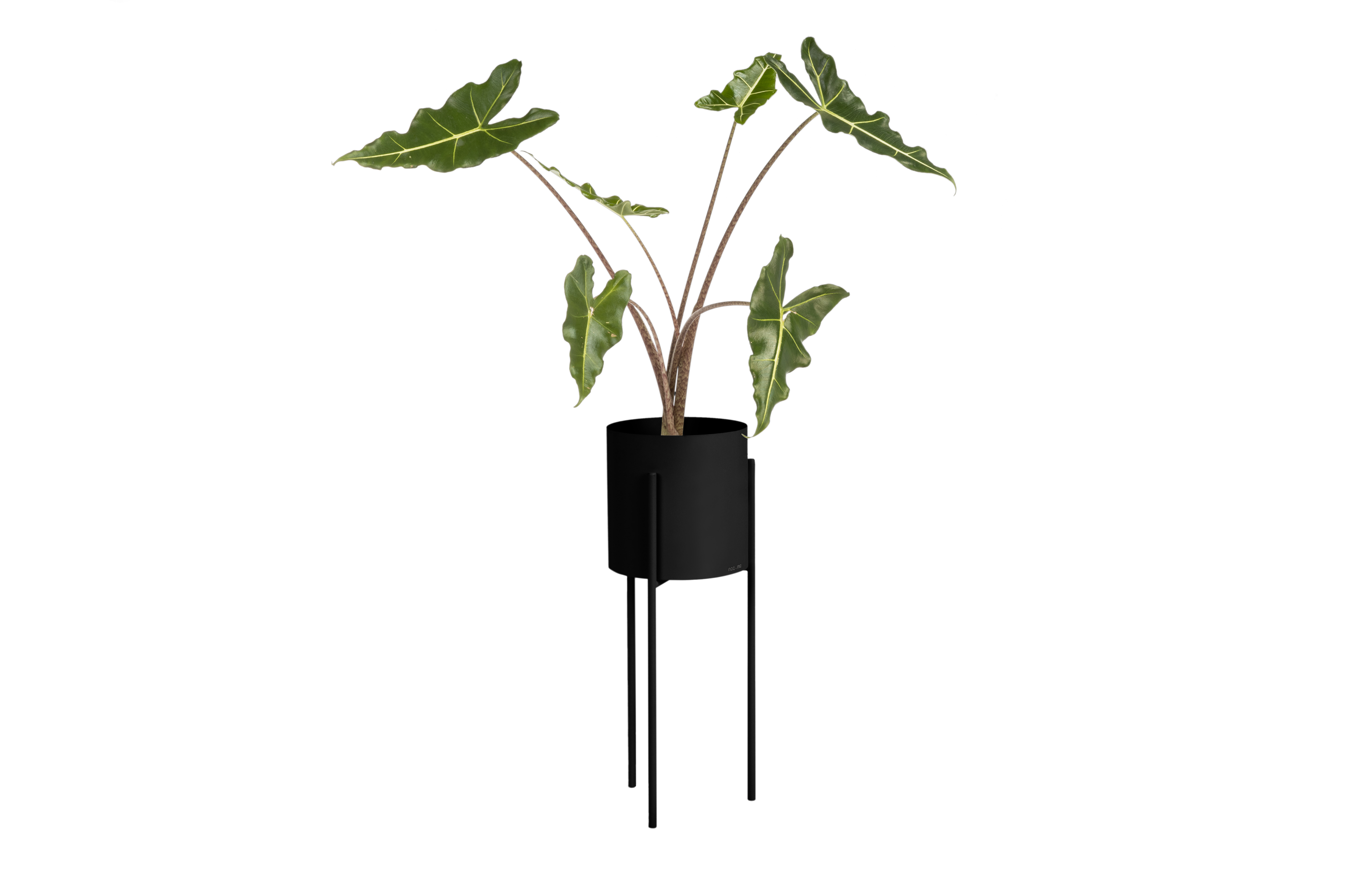 Maki Plant Pot - tall